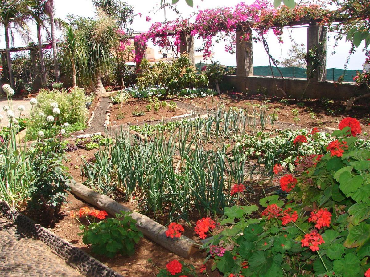 Quinta Do Bom Sucesso Apartment Funchal  Ngoại thất bức ảnh