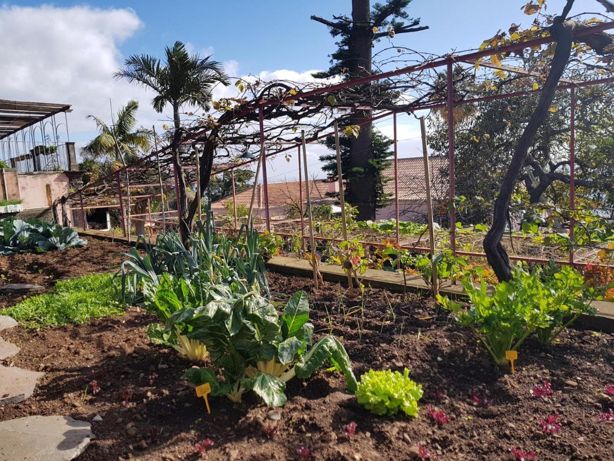 Quinta Do Bom Sucesso Apartment Funchal  Ngoại thất bức ảnh
