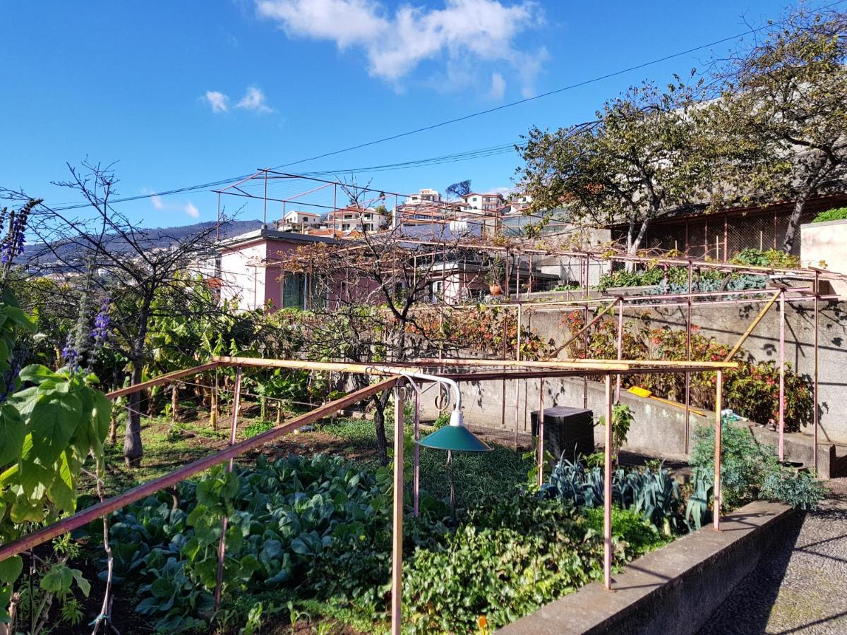 Quinta Do Bom Sucesso Apartment Funchal  Ngoại thất bức ảnh